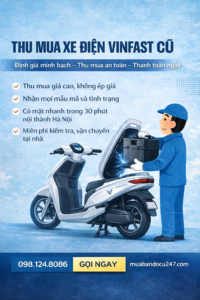 giá pin xe điênh vinfast